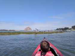 Taylor Family Kayaking at Morro Bay State Park 1