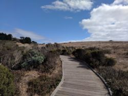 Taylor Family at Fiscalini Ranch Preserve Cambria California 4