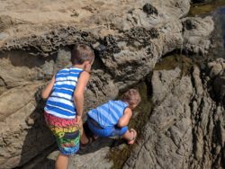 Taylor Family at Fiscalini Ranch Preserve Cambria California 2