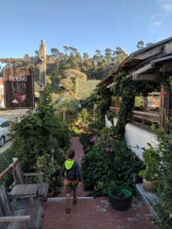 Dinner at Robins East Village Cambria California 2