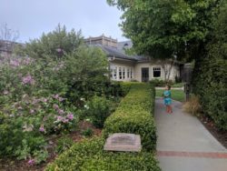 Taylor Family staying at Cambria Pines Lodge 4