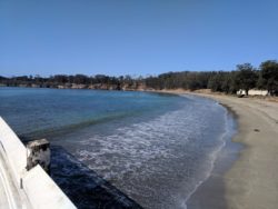 Taylor Family at Hearst San Simeon Stat Park 3