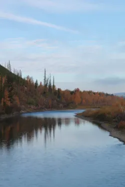 North Fork Flathead River Polebridge Glacier National Park