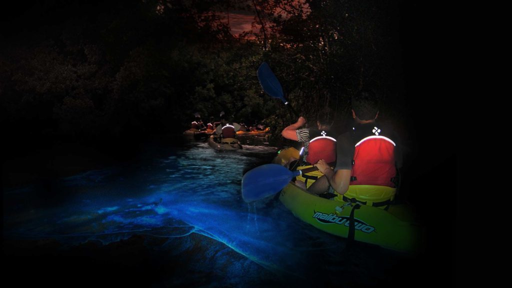 KayakingPuertoRico Bioluminescent kayaking 1