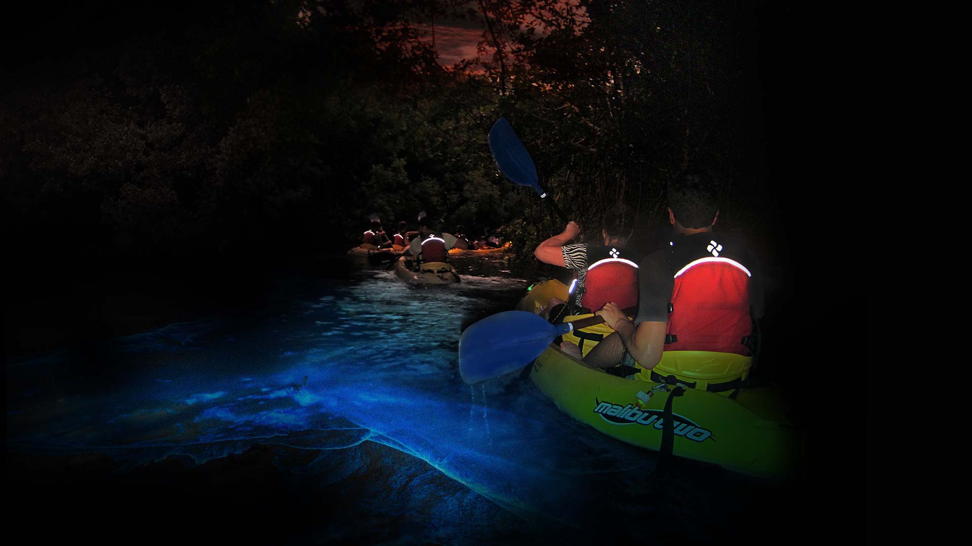KayakingPuertoRico Bioluminescent kayaking 1