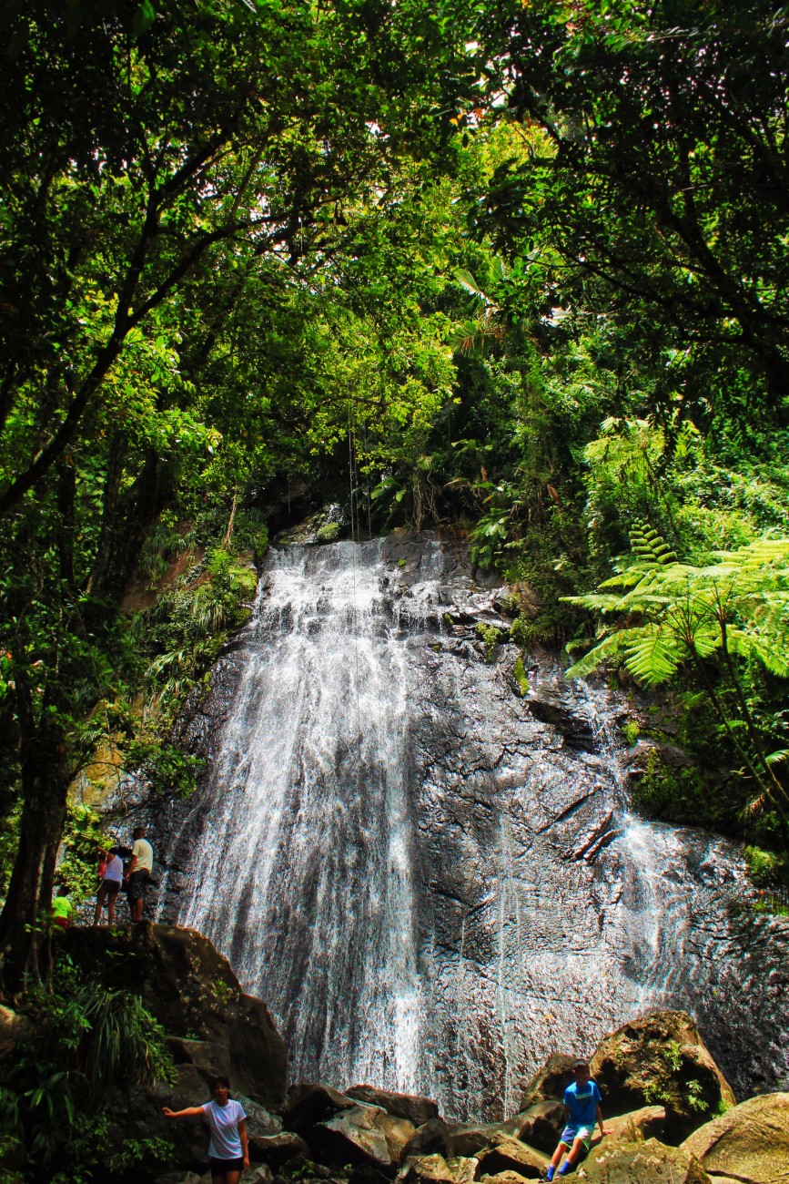La Coca Falls Rainforest El Yunque National Forest Puerto Rico 2