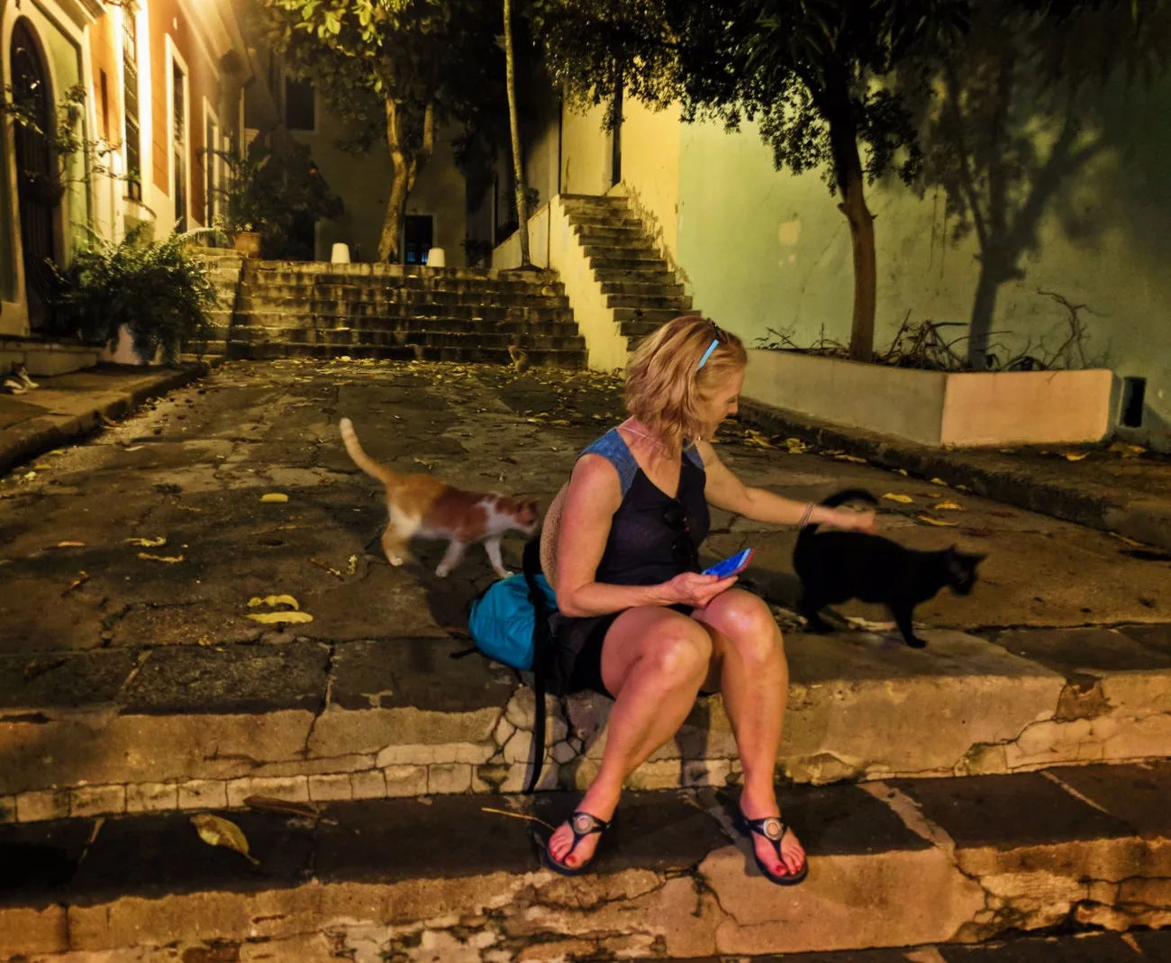 Maureen with Cats on Callejon Hospital in Old San Juan Puerto Rico at night 1