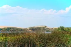 Sand Dunes at Oso Flaco Lake Nature Preserve Nipomo California 1