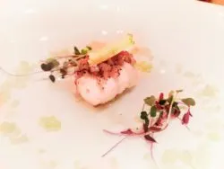 Sous vide Octopus at Pikayo Condado Plaza Hilton San Juan Puerto Rico 2