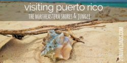 To visit Puerto Rico you just need to pick a part of it and have fun. Northeastern Puerto Rico is home to the rainforest, biolumiscent kayaking, tropical beaches and more. 2traveldads.com