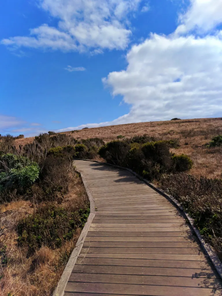 Boardwalk at Fiscalini Ranch Reserve Cambria California Central Coast 7