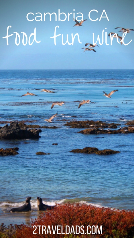 The town of Cambria, California on the Central Coast is the perfect getaway for foodies, fun, wine tasting, and just relaxing family travel. From elephant seals and Hearst Castle to quiet coves and wineries, Cambria is an ideal retreat. 2traveldads.com