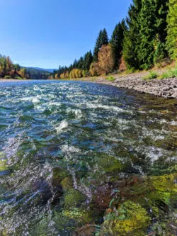 Fall Colors Flathead river float trip Glacier Guides Montana Raft Glacier National Park 3