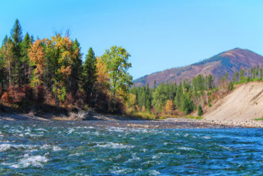 Fall Colors floating Flathead River Glacier Guides Montana Rafting Glacier National Park 10