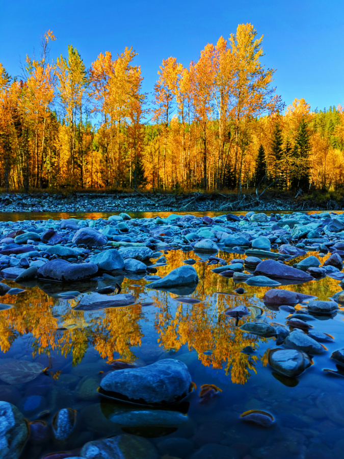 Fall Colors reflecting on River Flathead National Forest Montana 3