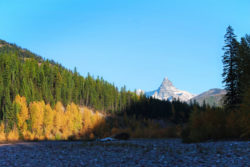 Fall colors and snow on Flathead River Flathead National Forest Montana 14