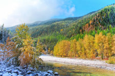 Fall-colors-and-snow-on-Flathead-River-Flathead-National-Forest-Montana-8-225x150.jpg