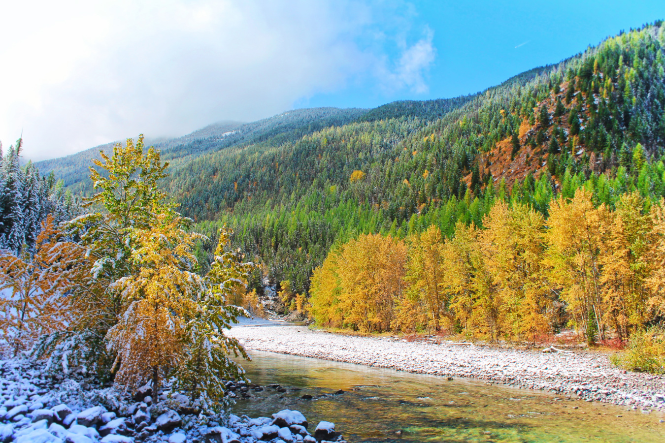 Fall colors and snow on Flathead River Flathead National Forest Montana 8