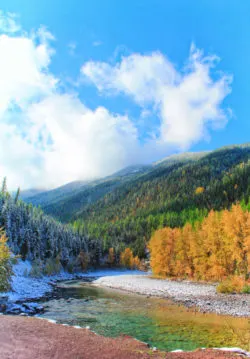 Fall colors and snow on Flathead River Flathead National Forest Montana 9