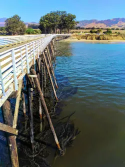 Fishing Pier at Hearst San Simeon State Park 3