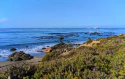 Ocean bluff at Fiscalini Ranch Reserve Cambria California Central Coast 1