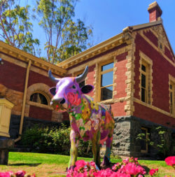 Painted cow public art at Historical Museum San Luis Obispo 1