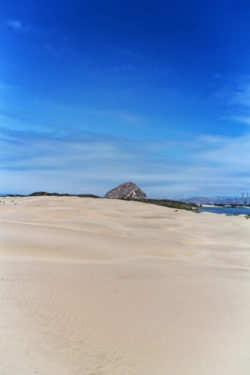 Sand Dunes in Morro Bay San Luis Obispo 3