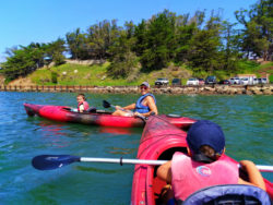 Taylor Family Kayaking in Morro Bay San Luis Obispo 12