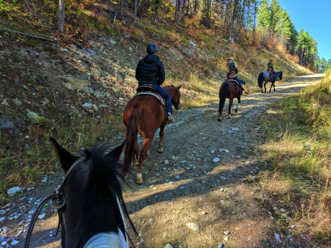 Taylor Family horseback riding at Bar W Guest Ranch Whitefish Glacier County 15