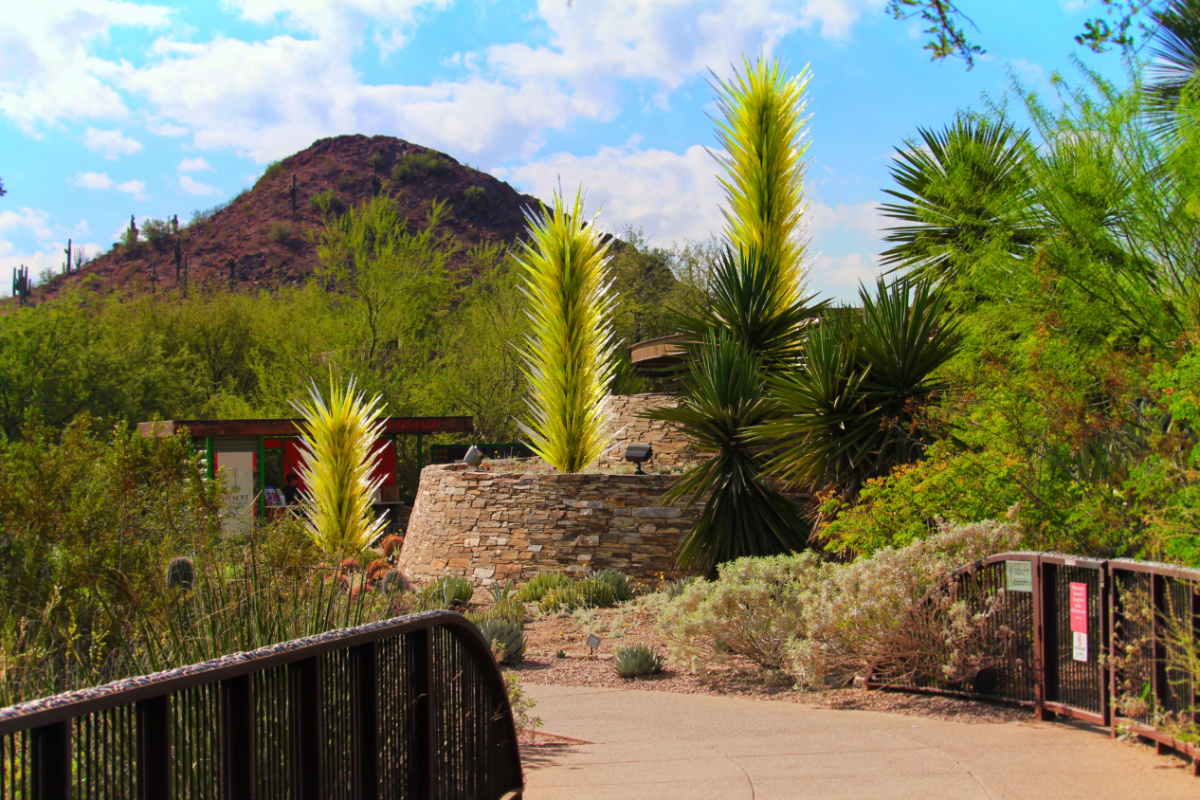 Chihuly Blown Glass at Desert Botanical Garden Phoenix Tempe 1