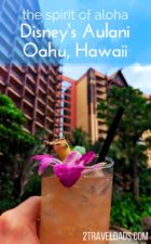 Disney's Aulani on the Hawaiian island of Oahu is a family resort full of fun, food, and the spirit of aloha. 2traveldads.com