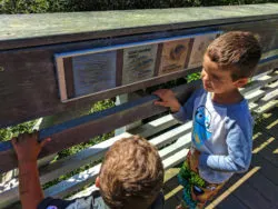 Taylor Family at Muir Beach Golden Gate National Recreation Area 2