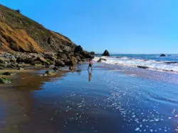 Taylor Family at Muir Beach Golden Gate National Recreation Area 6