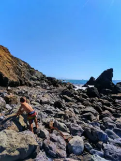 Taylor Family at Muir Beach Golden Gate National Recreation Area 8