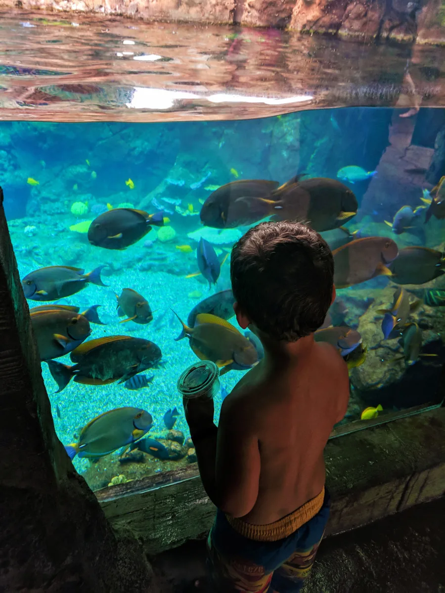 Taylor Family at Rainbow Reef at Disney Aulani Oahu 3