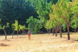 Taylor Family in orchards at John Muir National Historic Site Martinez East Bay 2