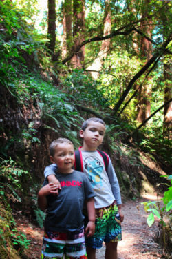 Taylor family hiking in Redwoods Muir Woods National Monument 3