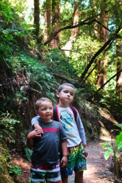 Taylor family hiking in Redwoods Muir Woods National Monument 3