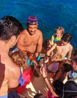 Taylor family on catamaran with octopus off Oahu 4