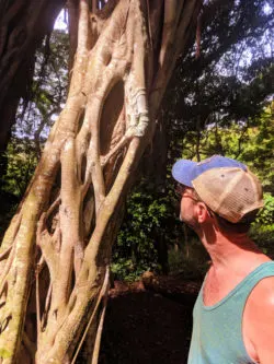 Taylor Family with Tropical jungle vines at Waimea Valley North Shore Oahu 1