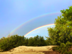 Rainbow at Poipu Koloa on Kauai