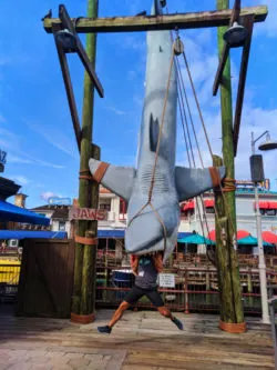 Rob Taylor eaten by Jaws Universal Studios Florida Orlando 2