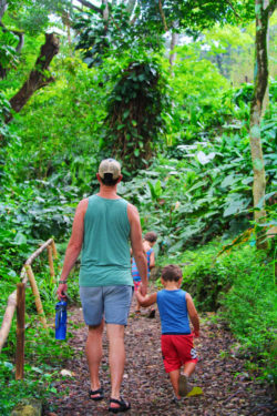 Taylor-Family-hiking-at-Waimea-Valley-North-Shore-Oahu-9-250x375.jpg