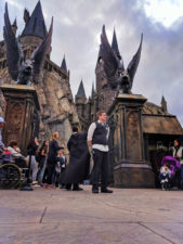 Wizarding World of Harry Potter Hogsmeade Islands of Adventure Universal Orlando 3