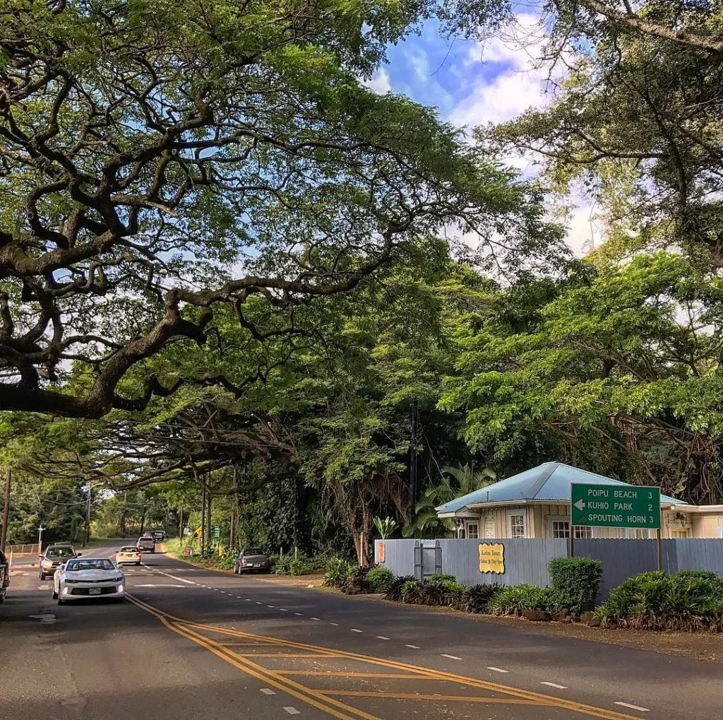 Old Town Koloa Kauai