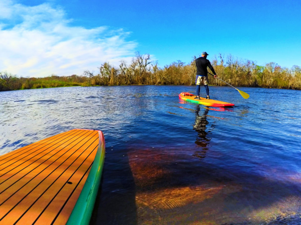 Paddleboard Orlando manatees nature adventures just beyond the city!