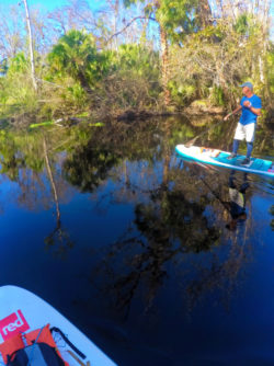 Paddleboarding Blue Spring State Park Paddleboard Orlando 3