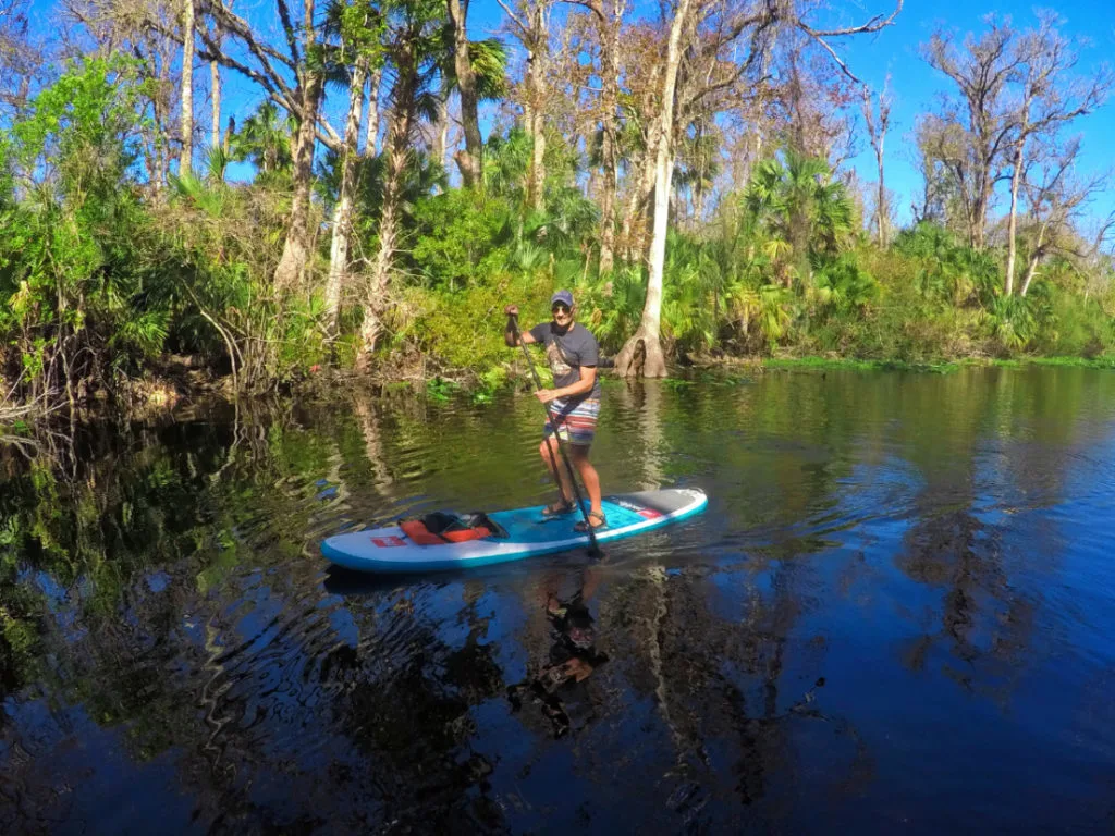 Paddleboarding Blue Spring State Park Paddleboard Orlando 4