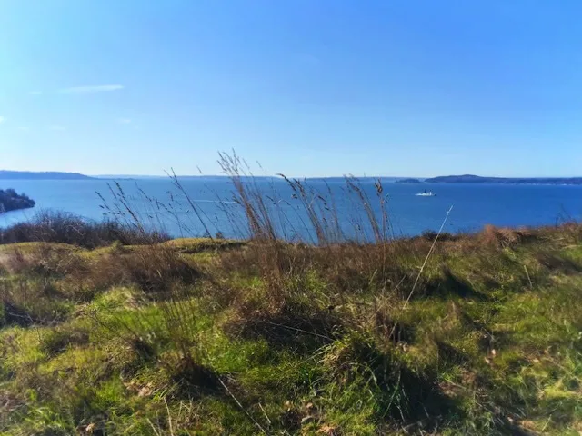 Andy Labadie 2Dads View from Bluff at Discovery Park 2