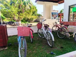 Bikes at entry to Coba Ruins Archaeological Park Yucatan road trip 1